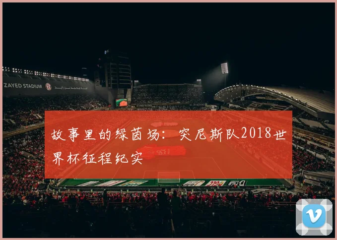 故事里的绿茵场：突尼斯队2018世界杯征程纪实