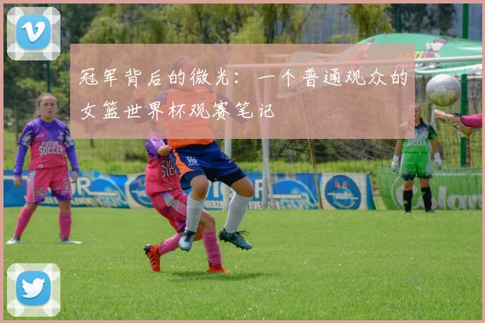 冠军背后的微光：一个普通观众的女篮世界杯观赛笔记