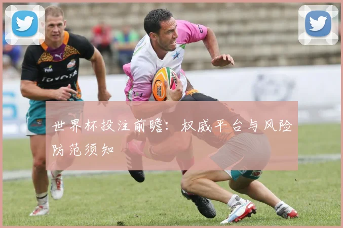 世界杯投注前瞻：权威平台与风险防范须知