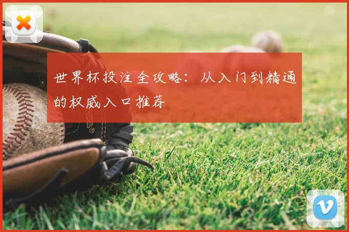 世界杯投注全攻略：从入门到精通的权威入口推荐