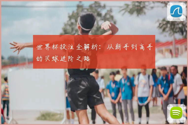 世界杯投注全解析：从新手到高手的买球进阶之路