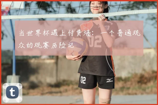 当世界杯遇上付费墙：一个普通观众的观赛历险记